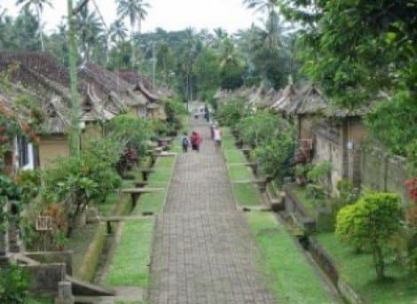 印尼天葬儀式聖地吐揚天葬村